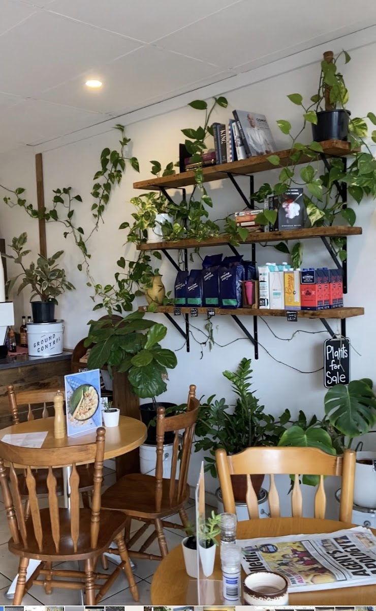 The Palm Coffee - Vietnamese Banh Mi